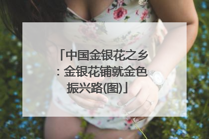 中国金银花之乡：金银花铺就金色振兴路(图)