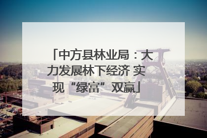中方县林业局：大力发展林下经济 实现“绿富”双赢