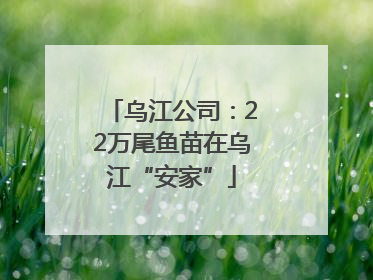 乌江公司：22万尾鱼苗在乌江“安家”