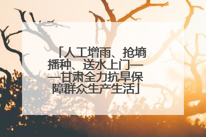 人工增雨、抢墒播种、送水上门——甘肃全力抗旱保障群众生产生活