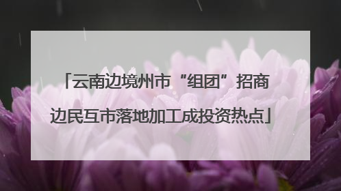云南边境州市“组团”招商 边民互市落地加工成投资热点