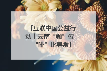 互联中国公益行动丨云南“咖”位“啡”比寻常