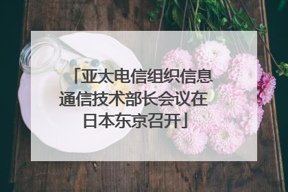 亚太电信组织信息通信技术部长会议在日本东京召开