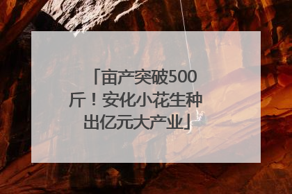 亩产突破500斤！安化小花生种出亿元大产业