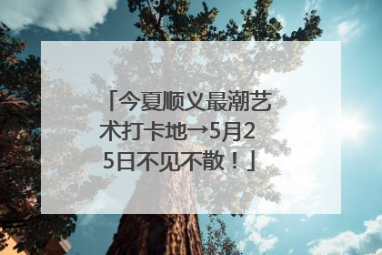 今夏顺义最潮艺术打卡地→5月25日不见不散！