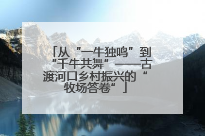 从“一牛独鸣”到“千牛共舞”——古渡河口乡村振兴的“牧场答卷”