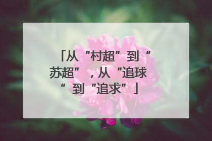 从“村超”到“苏超”，从“追球”到“追求”