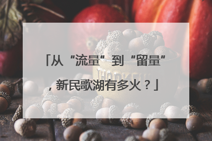 从“流量”到“留量”，新民歌湖有多火？