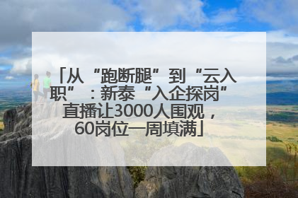 从“跑断腿”到“云入职”：新泰“入企探岗”直播让3000人围观，60岗位一周填满