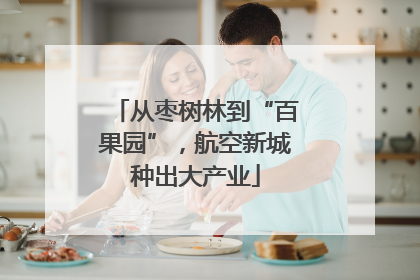 从枣树林到“百果园”，航空新城种出大产业