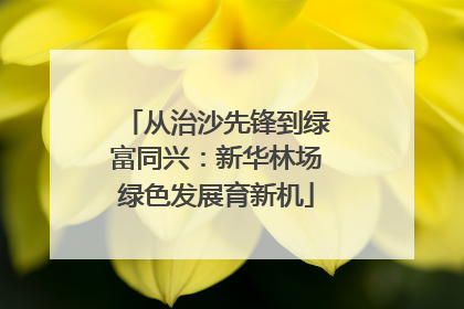 从治沙先锋到绿富同兴：新华林场绿色发展育新机