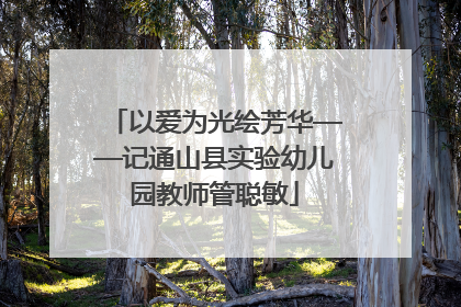 以爱为光绘芳华——记通山县实验幼儿园教师管聪敏