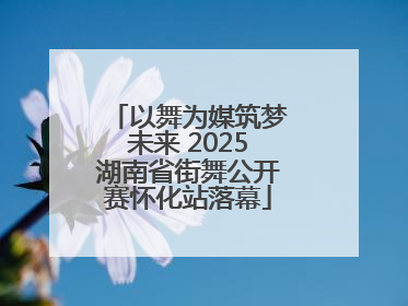 以舞为媒筑梦未来 2025湖南省街舞公开赛怀化站落幕