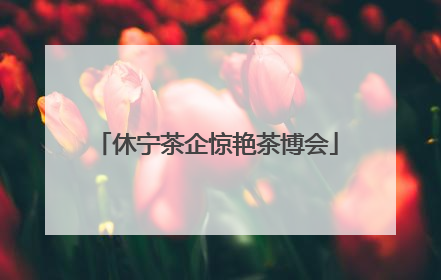 休宁茶企惊艳茶博会