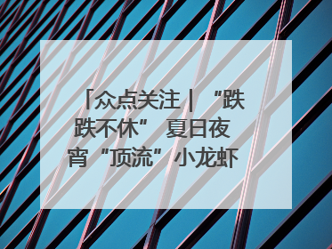 众点关注｜“跌跌不休” 夏日夜宵“顶流”小龙虾价格腰斩 东营人的快乐来了
