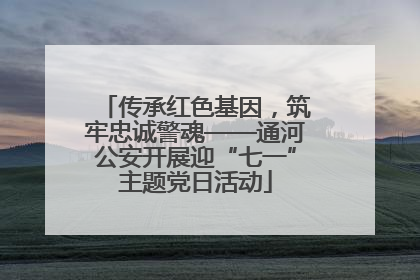 传承红色基因，筑牢忠诚警魂——通河公安开展迎“七一”主题党日活动