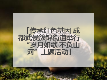 传承红色基因 成都武侯簇锦街道举行“岁月如歌·不负山河”主题活动