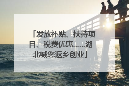 发放补贴、扶持项目、税费优惠……湖北喊您返乡创业