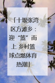 十堰张湾区方滩乡：迎“篮”而上 乡村篮球点燃体育热潮
