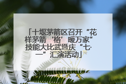 十堰茅箭区召开“花样茅箭‘格’暖万家”技能大比武暨庆“七·一”汇演活动