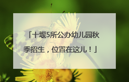 十堰5所公办幼儿园秋季招生，位置在这儿！