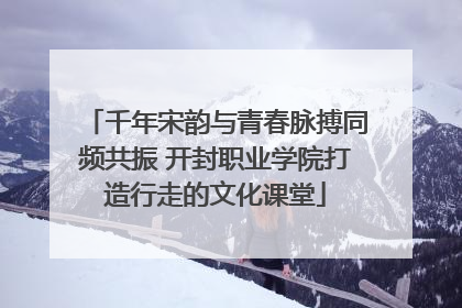 千年宋韵与青春脉搏同频共振 开封职业学院打造行走的文化课堂