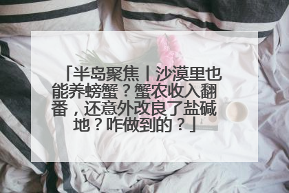 半岛聚焦丨沙漠里也能养螃蟹？蟹农收入翻番，还意外改良了盐碱地？咋做到的？