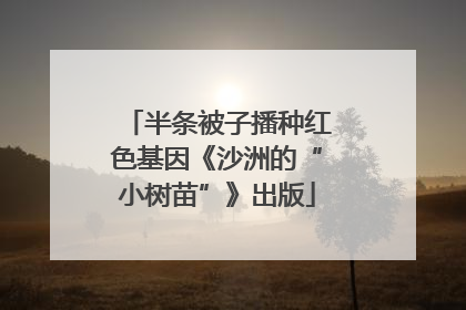 半条被子播种红色基因《沙洲的“小树苗”》出版