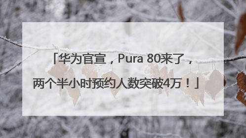 华为官宣，Pura 80来了，两个半小时预约人数突破4万！