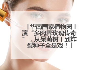 华南国家植物园上演“多肉界玫瑰传奇”，从呆萌树干到炸裂种子全是戏！
