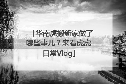 华南虎搬新家做了哪些事儿？来看虎虎日常Vlog