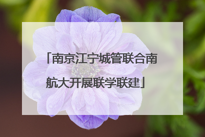 南京江宁城管联合南航大开展联学联建