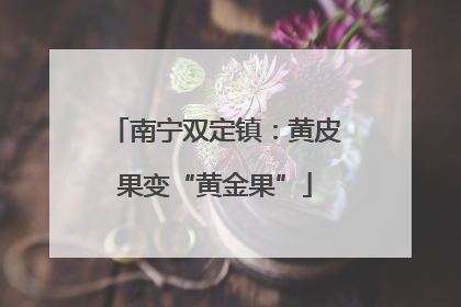 南宁双定镇：黄皮果变“黄金果”