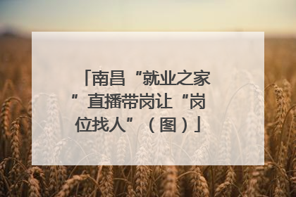 南昌“就业之家”直播带岗让“岗位找人”（图）