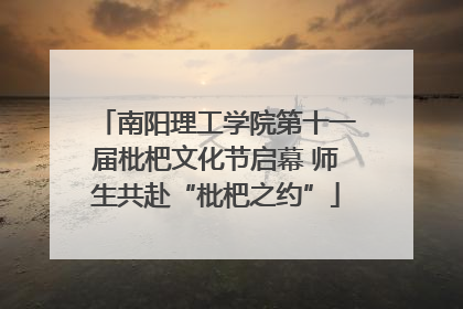 南阳理工学院第十一届枇杷文化节启幕 师生共赴“枇杷之约”