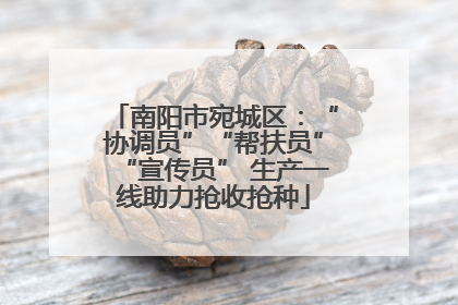南阳市宛城区：“协调员”“帮扶员”“宣传员” 生产一线助力抢收抢种