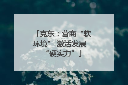 克东：营商“软环境” 激活发展“硬实力”