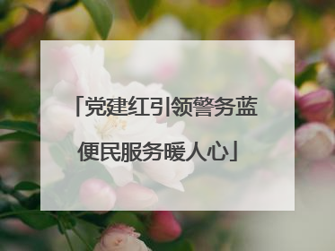 党建红引领警务蓝 便民服务暖人心