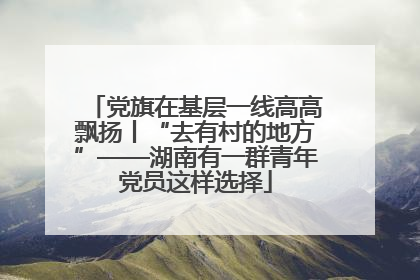 党旗在基层一线高高飘扬丨“去有村的地方”——湖南有一群青年党员这样选择
