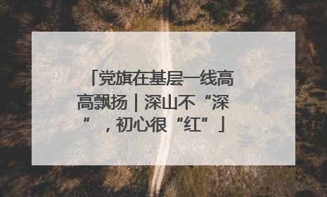 党旗在基层一线高高飘扬｜深山不“深”，初心很“红”
