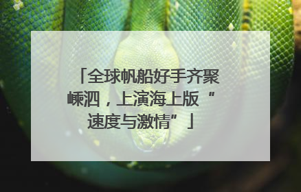 全球帆船好手齐聚嵊泗，上演海上版“速度与激情”
