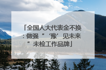 全国人大代表金不换：做强“‘豫’见未来”未检工作品牌