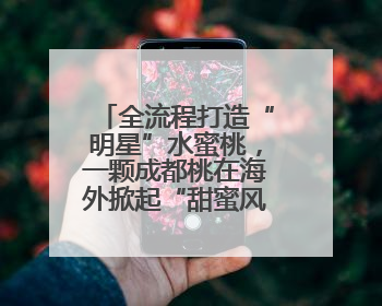 全流程打造“明星”水蜜桃，一颗成都桃在海外掀起“甜蜜风暴”
