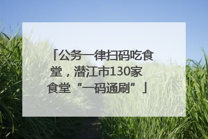 公务一律扫码吃食堂，潜江市130家食堂“一码通刷”