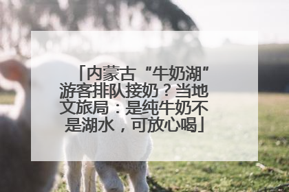 内蒙古“牛奶湖”游客排队接奶？当地文旅局：是纯牛奶不是湖水，可放心喝