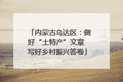 内蒙古乌达区：做好“土特产”文章 写好乡村振兴答卷