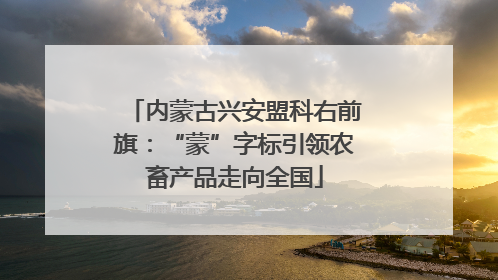 内蒙古兴安盟科右前旗：“蒙”字标引领农畜产品走向全国