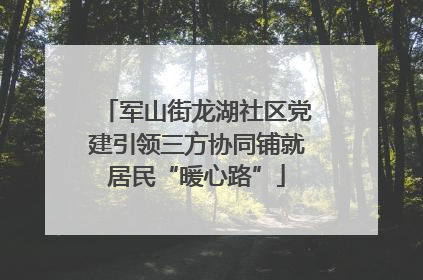 军山街龙湖社区党建引领三方协同铺就居民“暖心路”