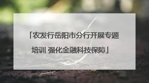 农发行岳阳市分行开展专题培训 强化金融科技保障
