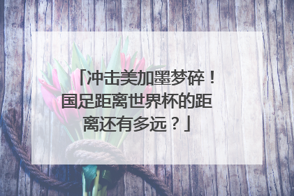 冲击美加墨梦碎！国足距离世界杯的距离还有多远？